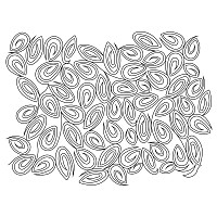 shape study e2e 001